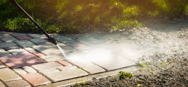 Best Animal Enclosure Cleaning  in Pontoon Beach, IL